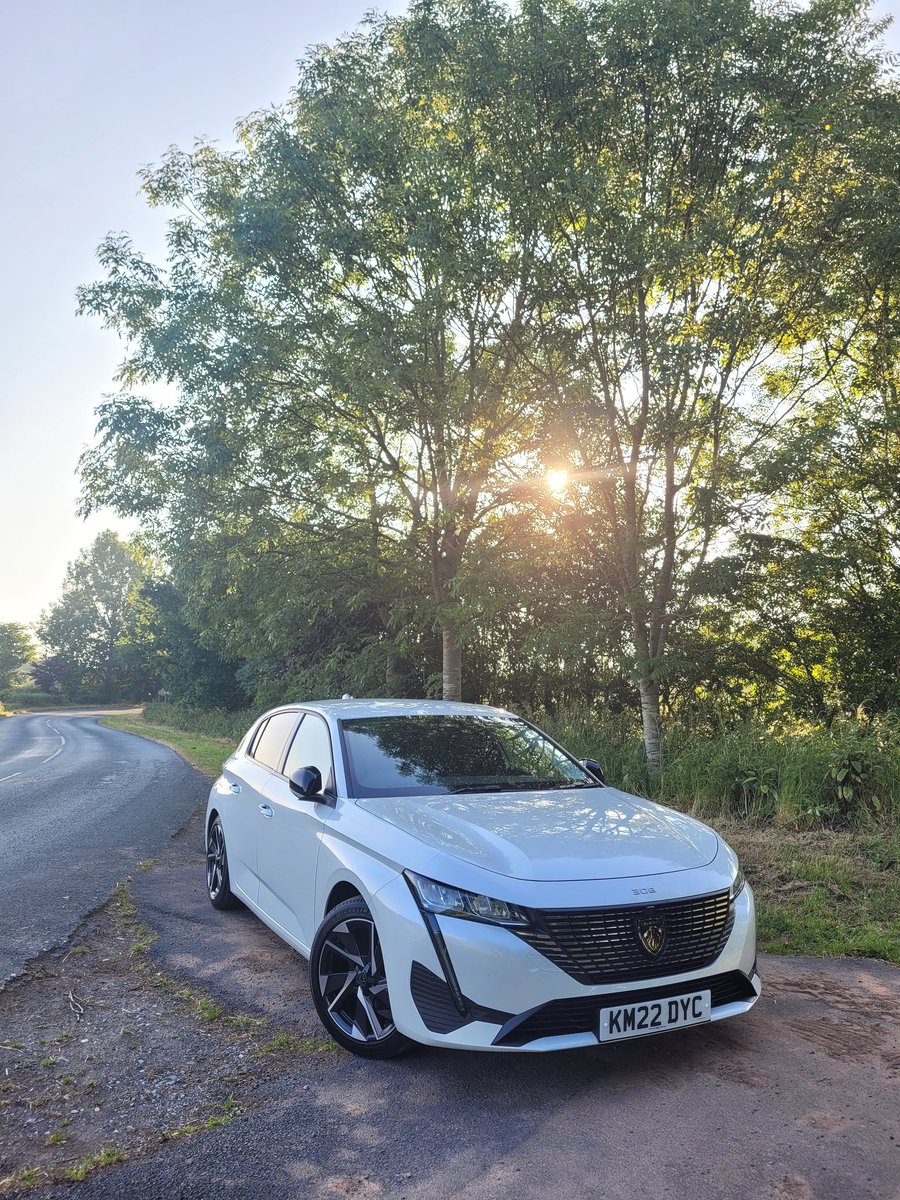 Richard Bush tweet media