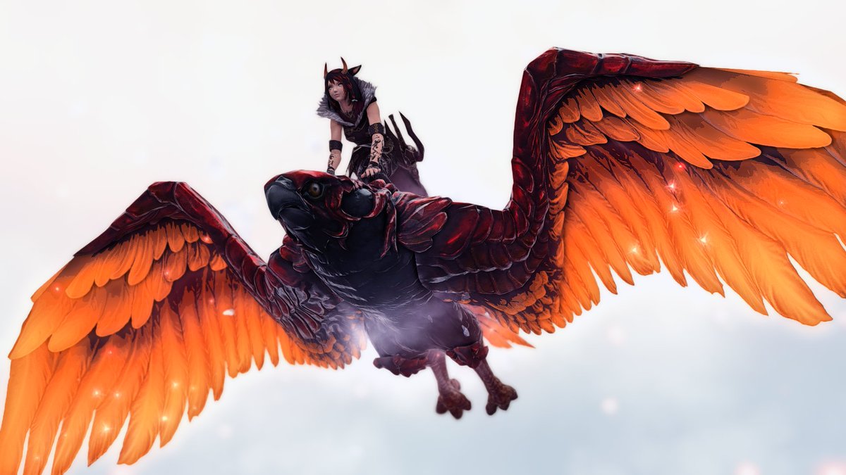 EzraFFXIV's tweet photo. My favourite birb. 🥰

#ffxiv #ffxivscreenshot #ffxivmiqote #miqote #ffxivonline #ffxivgpose #GPOSERS https://t.co/W8mFTPu7Be