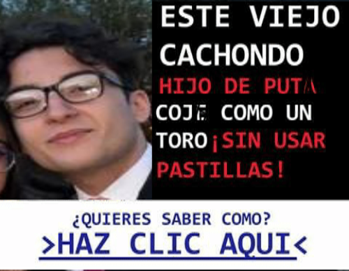 Haruka-Chan ッ tweet media