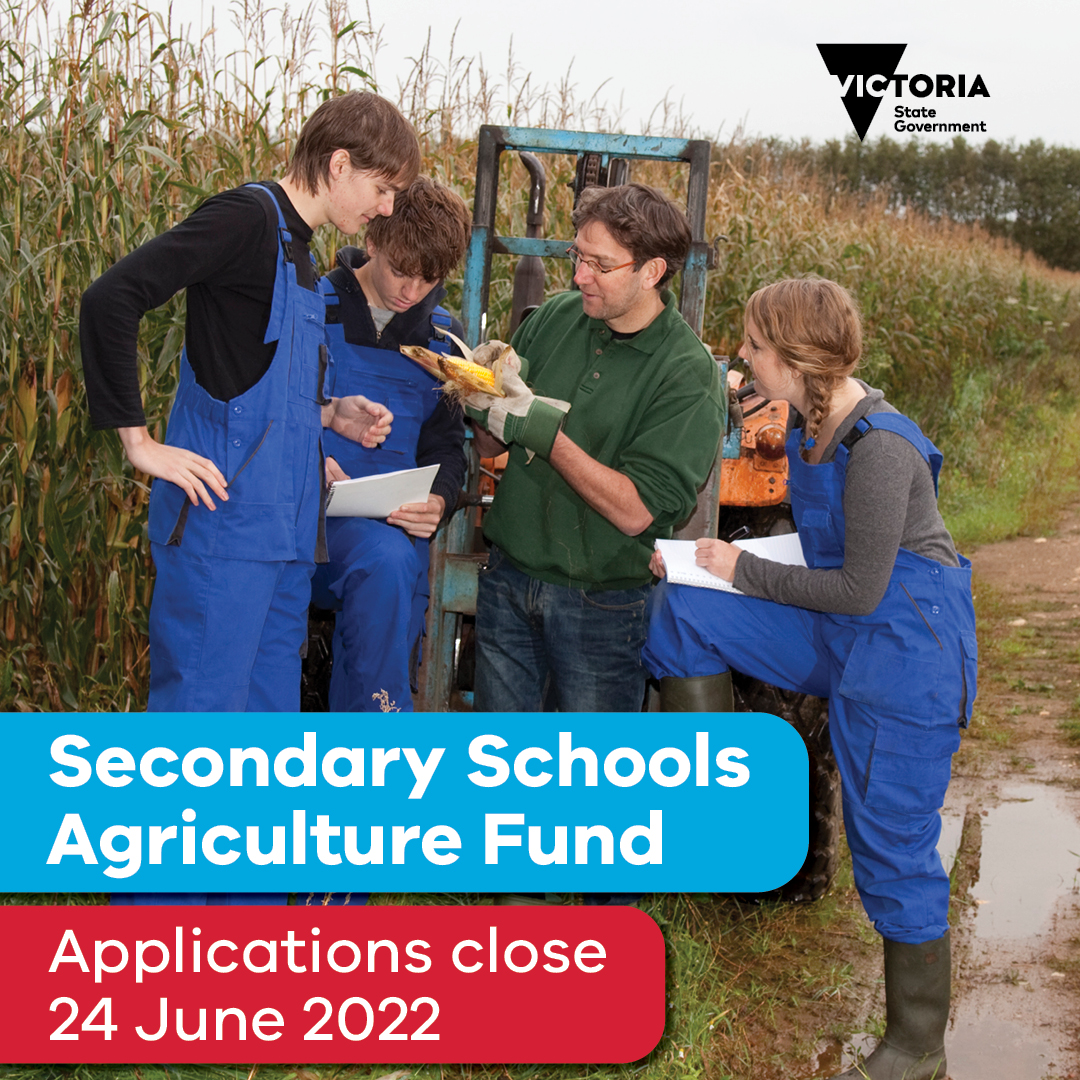 Victorian Department of Education tweet media