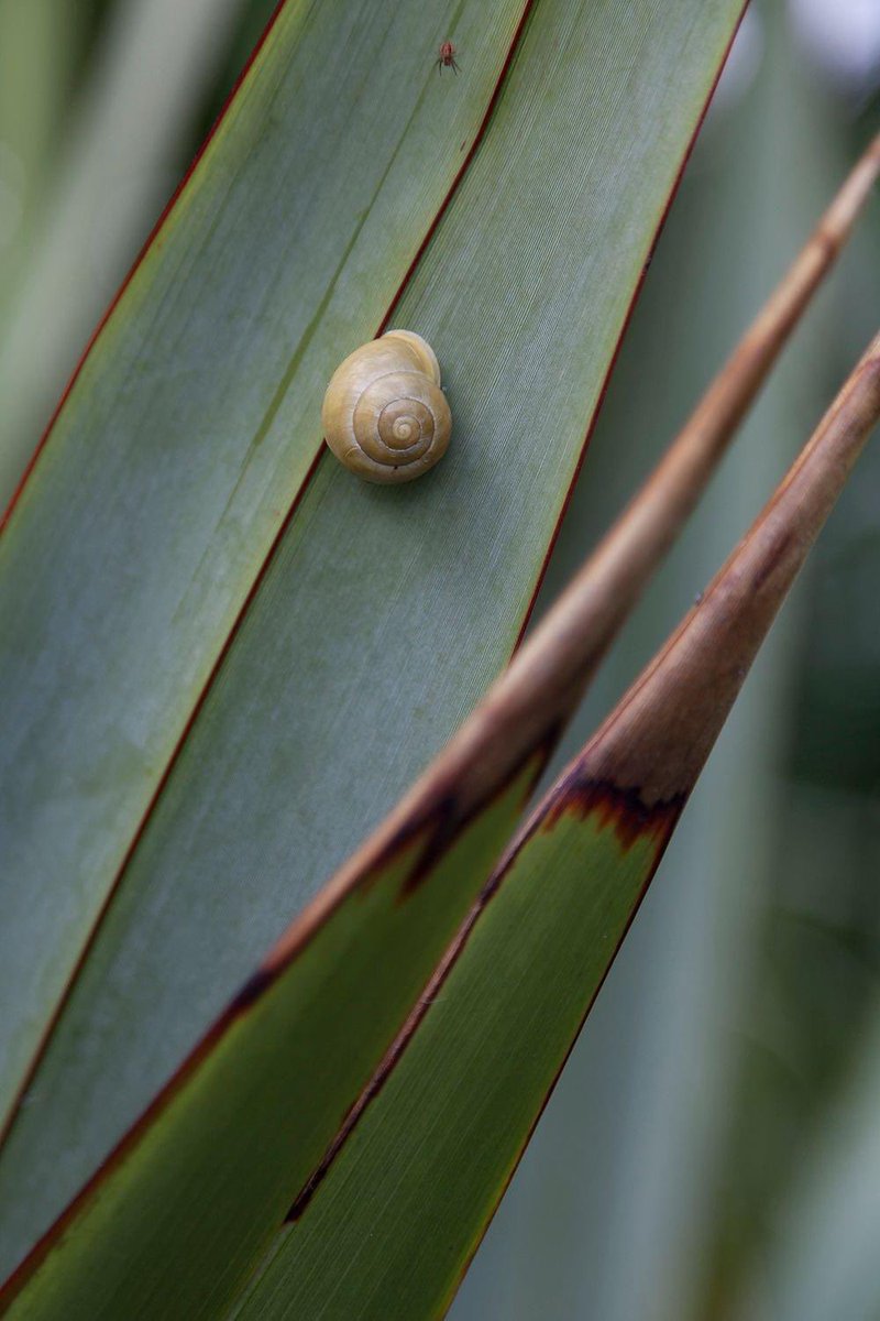 Another of our exhibiting artists, is photographer Steve McDonald.

Steve is widely travelled and specialises in Travel and Landscape Photography. He started his journey in the 1970’s.. bridge-arts.org/artists/

To see more of Steve's photography, visit: stevemcdonaldphotography.co.uk