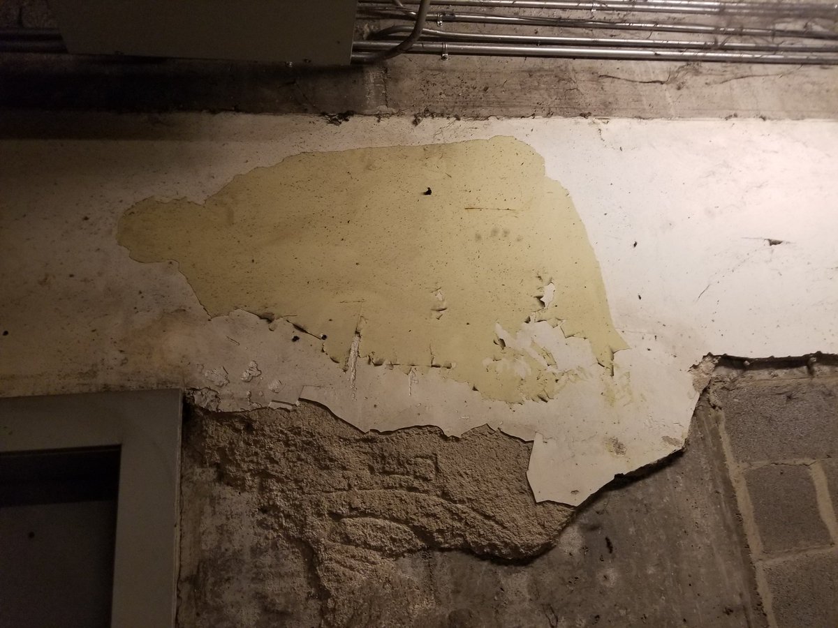 Woah, just spotted a <a href="/munko/">MUNKO</a> completely unmanipulated in the building I live in <a href="/davidchoe/">David choe</a>