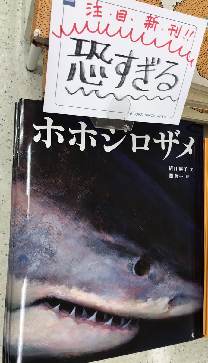 ホホジロザメイベント打ち合わせ シャークジャーナリスト沼口麻子 Note