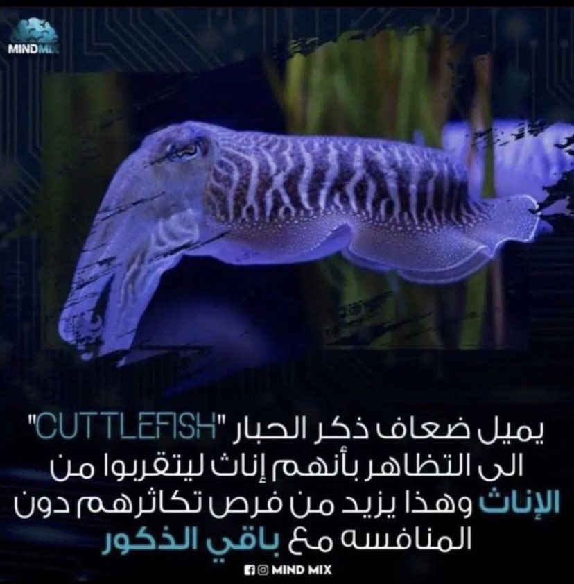 sfn_0's tweet photo. @Jassim_ABuL @Toonzatt عاجبك وضعك مع البنات؟🥰 https://t.co/6HhfToyBN5