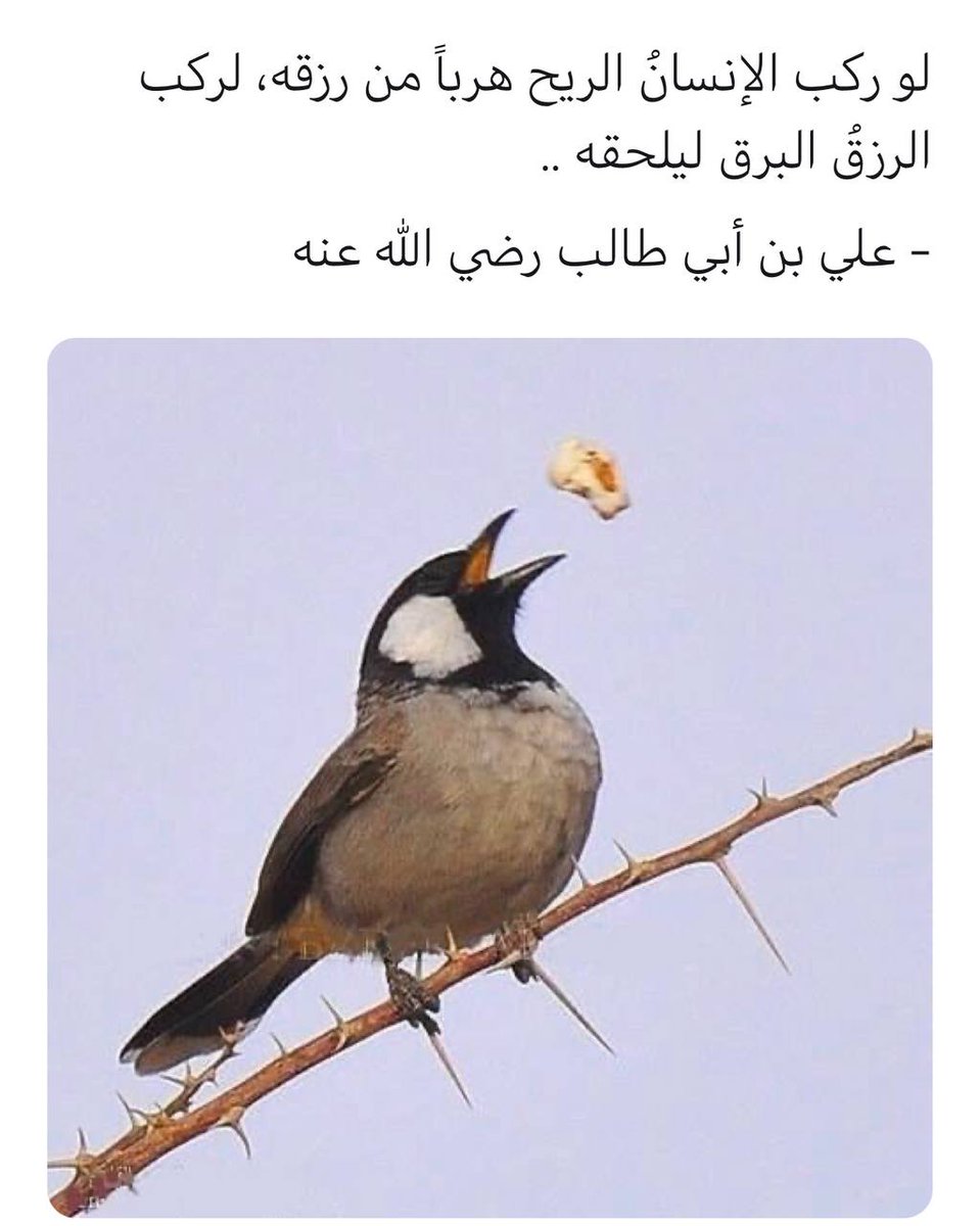 safia23ibrahim's tweet photo. @floeeei أرجو رد المتابعة.. 👈 @safia23ibrahim.. 🌵🌵 https://t.co/Yeq92ZMdsQ