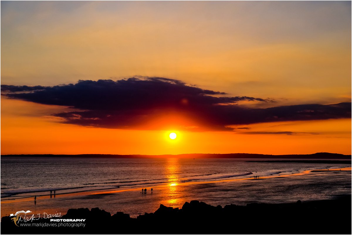 Mark J Davies Photography tweet media