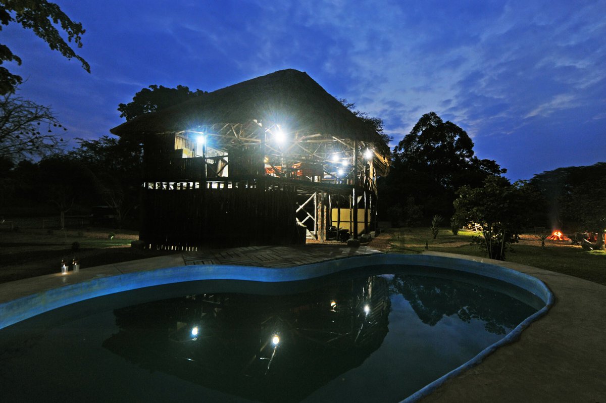Bullbushcamp's tweet photo. Can you hear the sounds of the night? ....
#peterhogel #bullbushrivercamp #safari #photography #Uganda #photographysafari #ishasha #VisitUganda #ugandauncovered #wildlifeaccommodation #river #riverlife #poolsideoflife https://t.co/88dim5hR9K