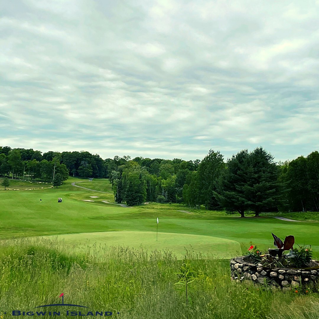 bigwinisland's tweet photo. The Serpent looks great from any angle!
#bigwinisland #hole3 #golfclub #bigwinislandgolf #muskoka #lakeofbays #discoverontario #explorebigwin https://t.co/JX00gdWUBo