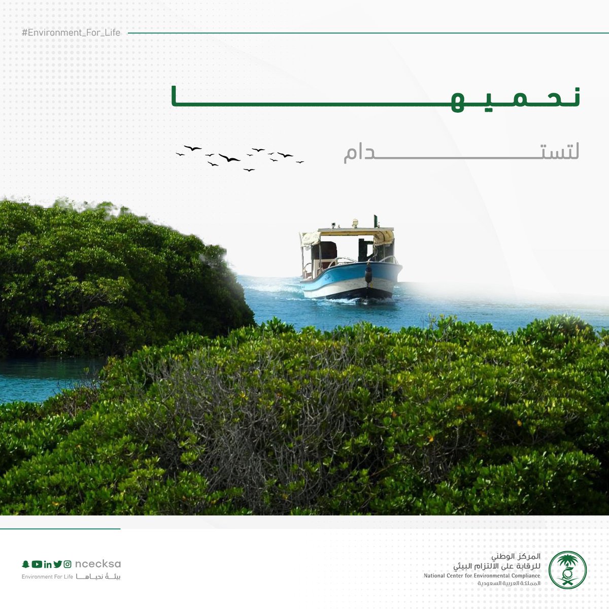ncecksa's tweet photo. تزخر مملكتنا بمناطق حساسة بيئياً تتمثل في المحميات الطبيعية والغابات والأراضي الرطبة والمتنزهات البرية ومواطن الطيور وتجمعات المياه وطبقات المياه الجوفية والشواطئ والجزر البحرية، مراعاتنا لها خلال زيارتها يؤمّن استدامتها لننعم بـ #بيئة_نحياها 💚 https://t.co/P4kHx1WKDK