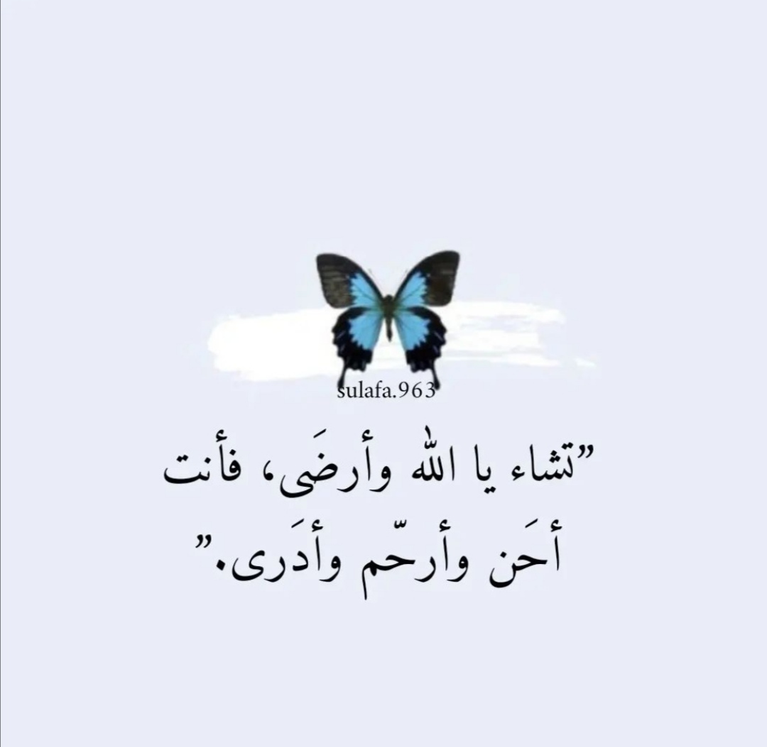 malathatieer's tweet photo. ثُم آمين .. إذا مرت تفاصيل الأماني بين السُجود💜🌾 https://t.co/1lQAzYOkqx