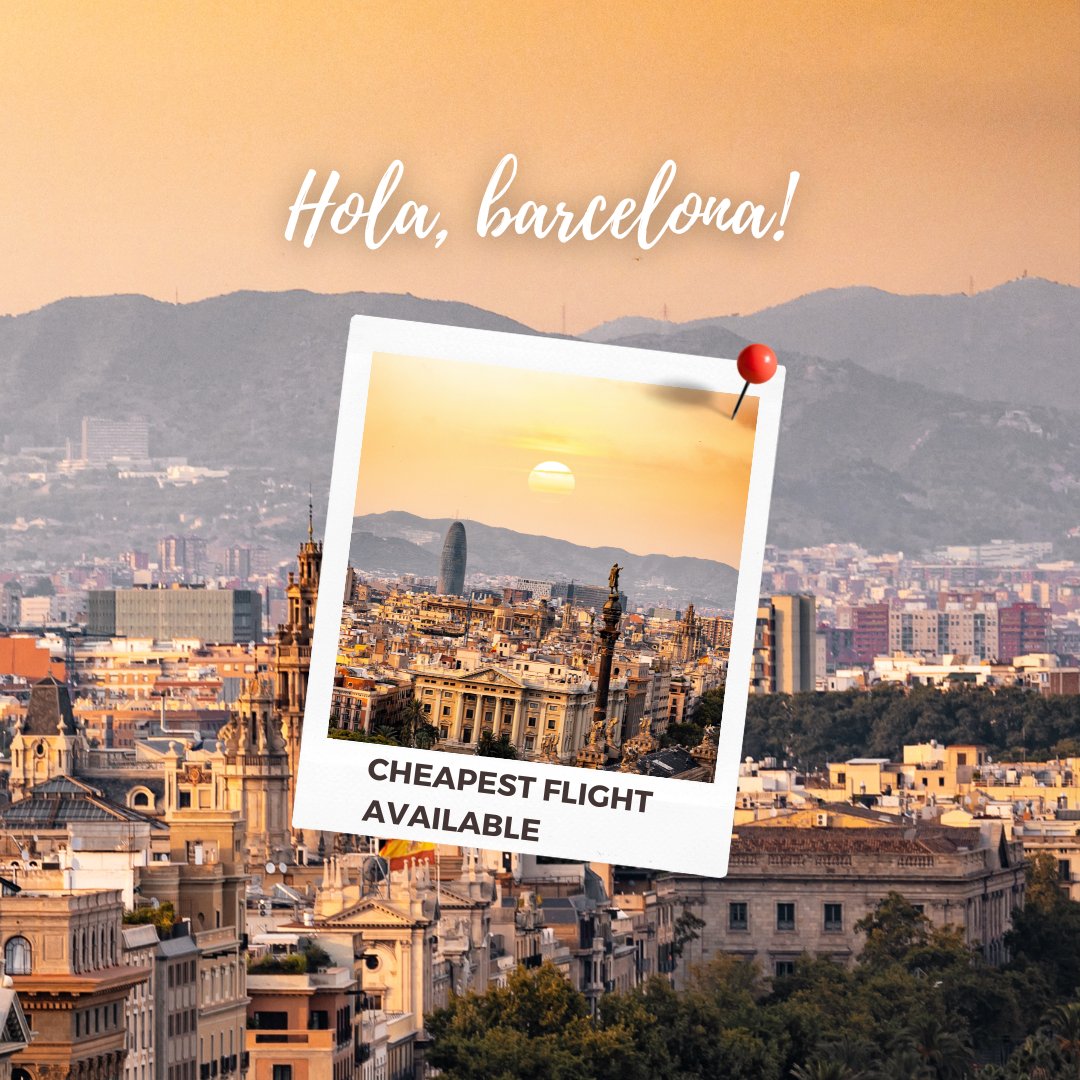 Dream World Travel tweet media