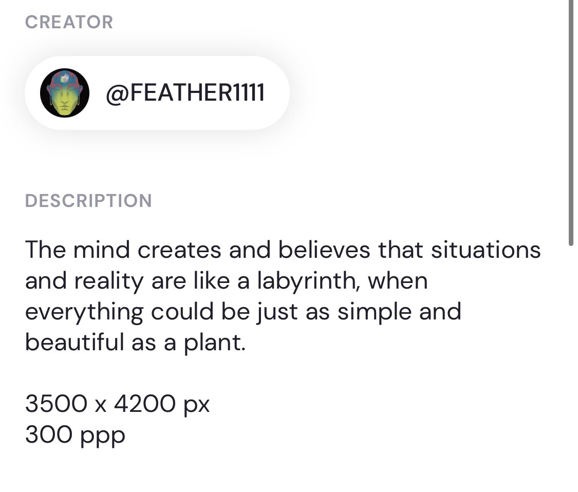 FEATHER_1111's tweet photo. GM beautiful beings🌱✨
Listed and ready to put in auction tomorrow my last piece “Believe and create” at @formfunction

An attempt to express how simple and beautiful everything would be If we let ourselves be carried away by life all the time💖

🔗 https://t.co/dSvTypJWOW 
$SOL https://t.co/RuOlbB5A2P