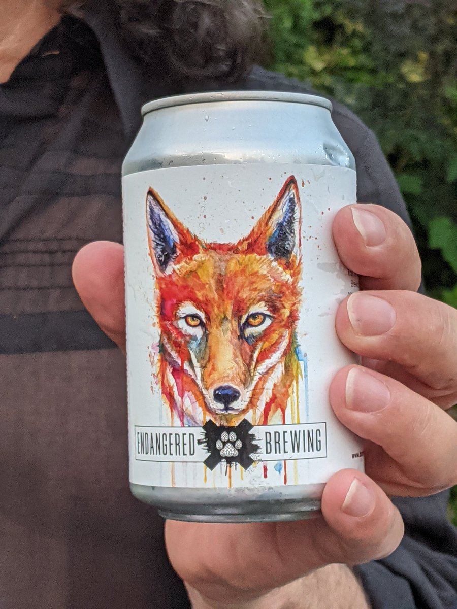 KyKebero's tweet photo. @EndangeredBrew were kind enough to send our UK staff some of their #Ethiopianwolf wheat beer to enjoy with our @WildCRU_Ox colleagues! 🍻

Each purchase supports this #endangered species 🦊 #conservation supporters in the UK, check them out:
https://t.co/aZwdQ8gJcP https://t.co/blzNuiNgdF