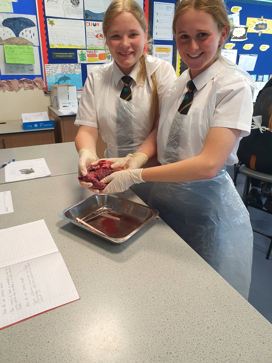 We ❤️ human biology @Maestegschool Just look at the smiles of these year 8 students' faces. #movitatedtostrive #Biology #Science #learningisfun