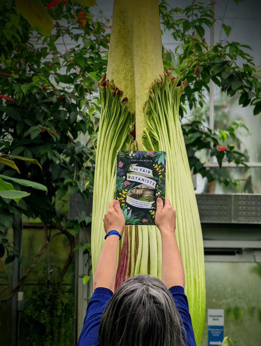 TitanArumRBGE tweet picture