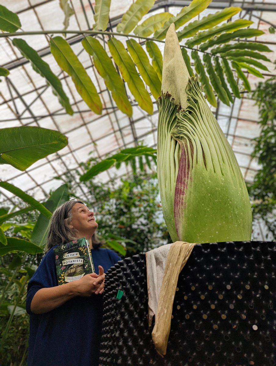 TitanArumRBGE tweet picture