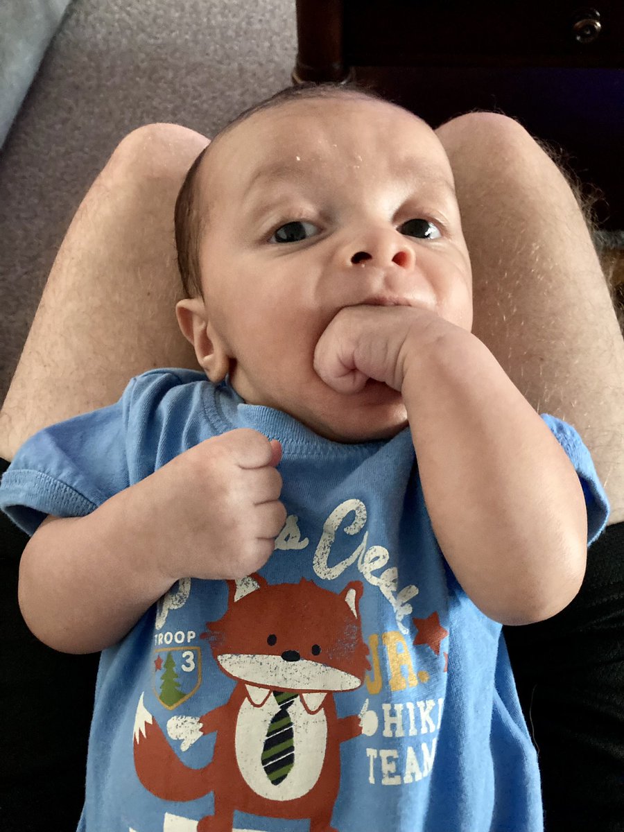 BabyBull2022's tweet photo. POV: you’re hungry, but mom isn’t catching the hint. https://t.co/WwsEXDjvLe