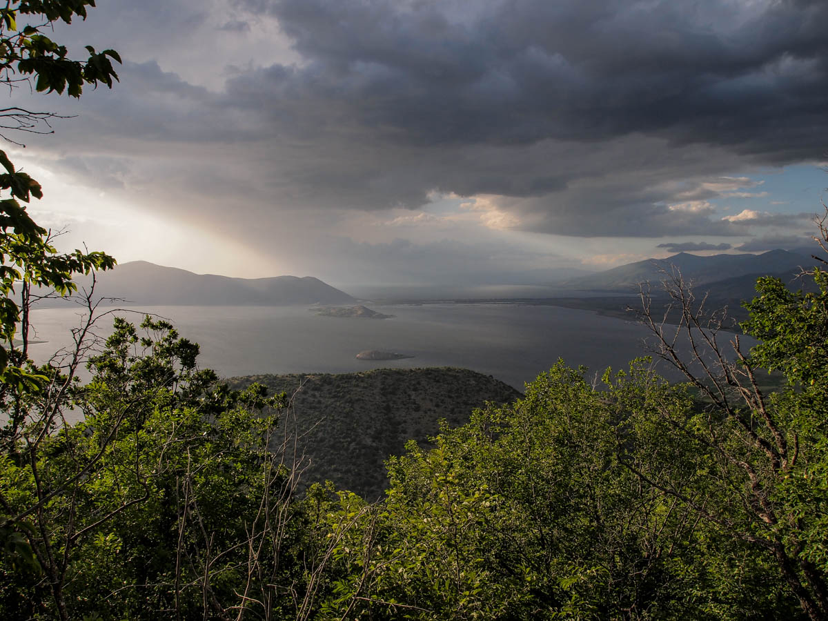 Julian Hoffman tweet media