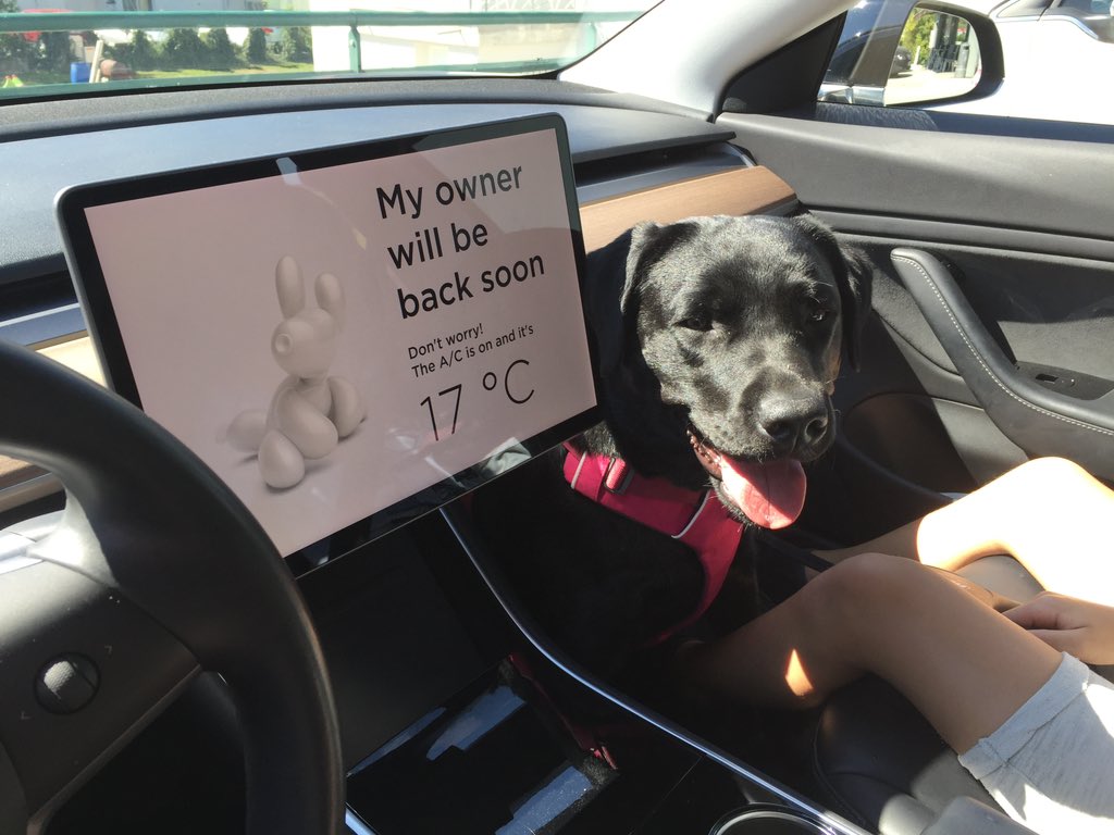 Good #userexperiencedesign  is not only for humans. My friend Phoenix hates high temperatures and loves #tesla #design  😀