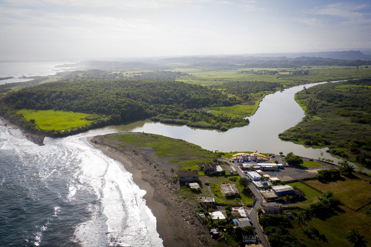 Mangrove restoration is labor-intensive work, requiring dedication and creativity to foster healing and regrowth. The WWF <a href="/EnviroDM/">WWF Environment and Disaster Management</a> found inspiration in the work that <a href="/paralanaturalez/">Para la Naturaleza</a> and their community are doing to adapt for a more positive future. envirodm.org/resource/setti…