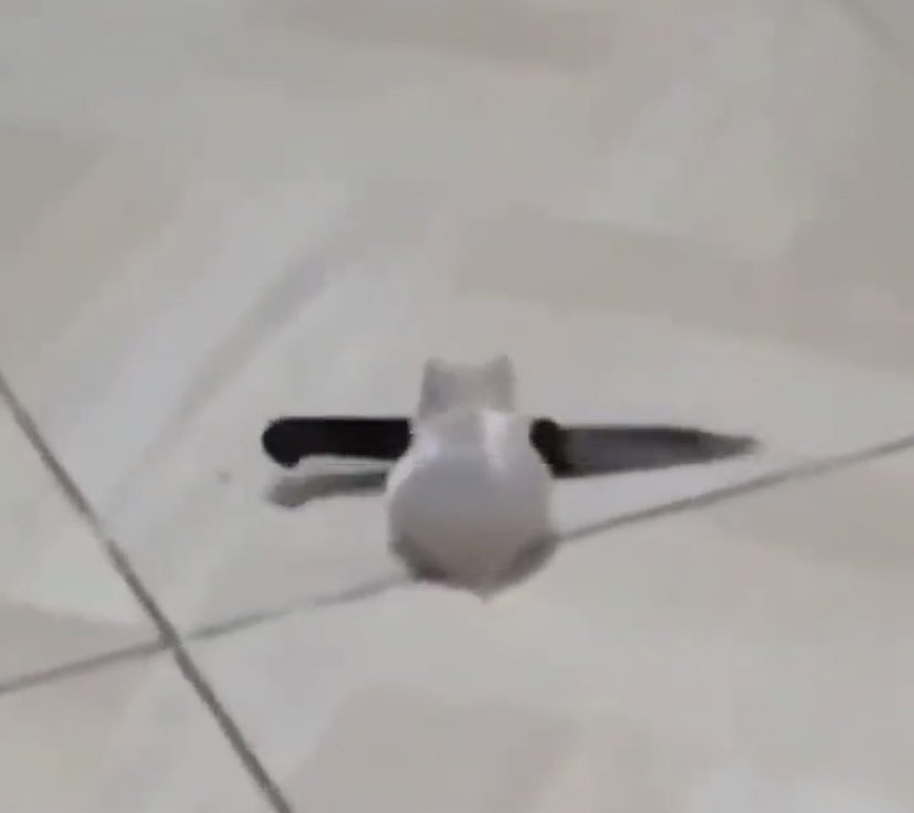 levisslxt's tweet image. 