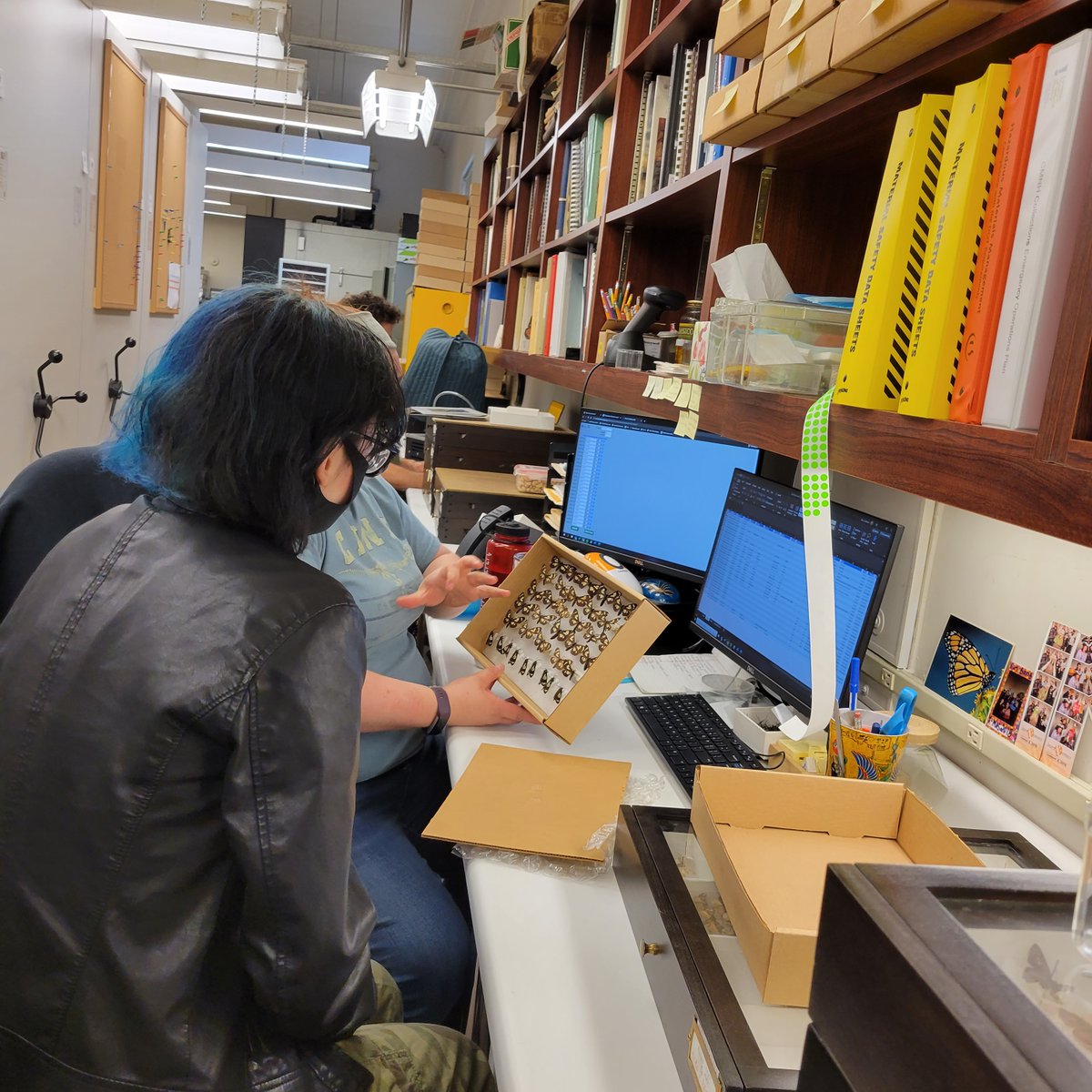 KaminScienceCtr's tweet photo. Happy #WomenInEngineeringDay! This summer, girls and non-binary youth ages 11โ17 are invited to discover unique and exciting careers in science, technology, engineering, and math through visits to local workplaces and universities at #TourYourFuture. https://t.co/GmBlKnRWFJ
