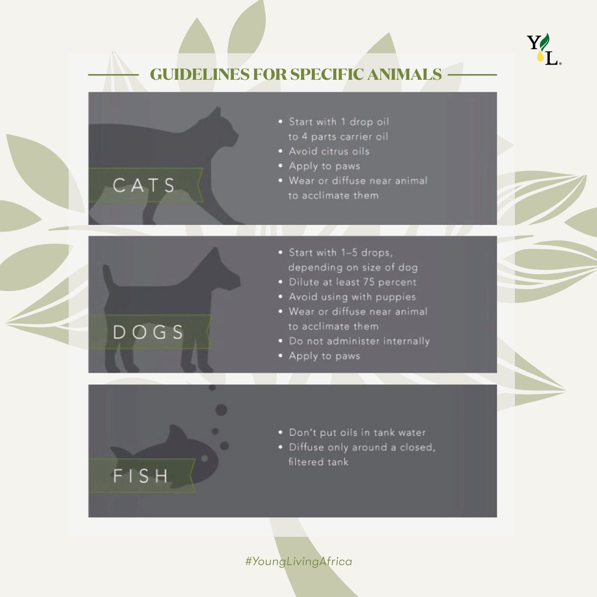 YoungLivingAF's tweet photo. When we say our essential oils can be enjoyed by the whole family, that includes Bingo🦮 and Whiskers🐈 too!
SWIPE LEFT⬅️ to learn more about how your pets can enjoy the benefits our Young Living oils! 🍃🤩✨ #CleanLivingWithYL #PetLovers #PetsAndThings #YoungLivingAfrica https://t.co/5URvQm90NJ