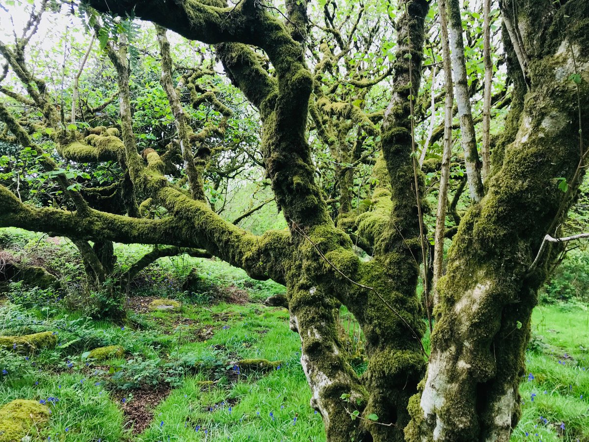 Guy Shrubsole tweet media