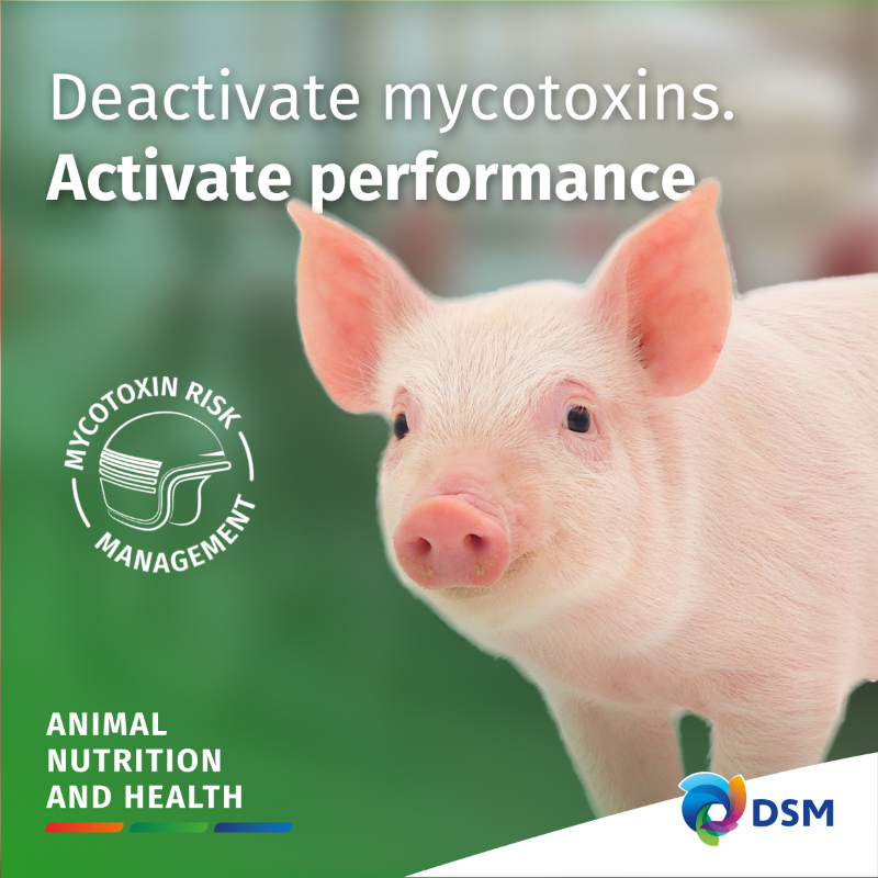 dsmfirmenichANH's tweet photo. Do you struggle with the effects of mycotoxins on animal performance? Farmers all over the world are dealing with the harmful effects these fungi can have on organ health, fertility and resistance. Learn how biotransformation helps you get more out of your animals' performance: