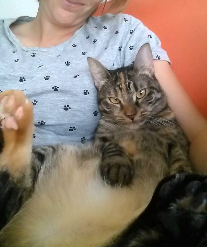 AdopFelinasVLC's tweet photo. #MUFFY en modo "despatagata" dominguera, se huelen ya las vacaciones .....🤭🤭
https://t.co/7gtKuieOlH? https://t.co/LluBVNSOf5