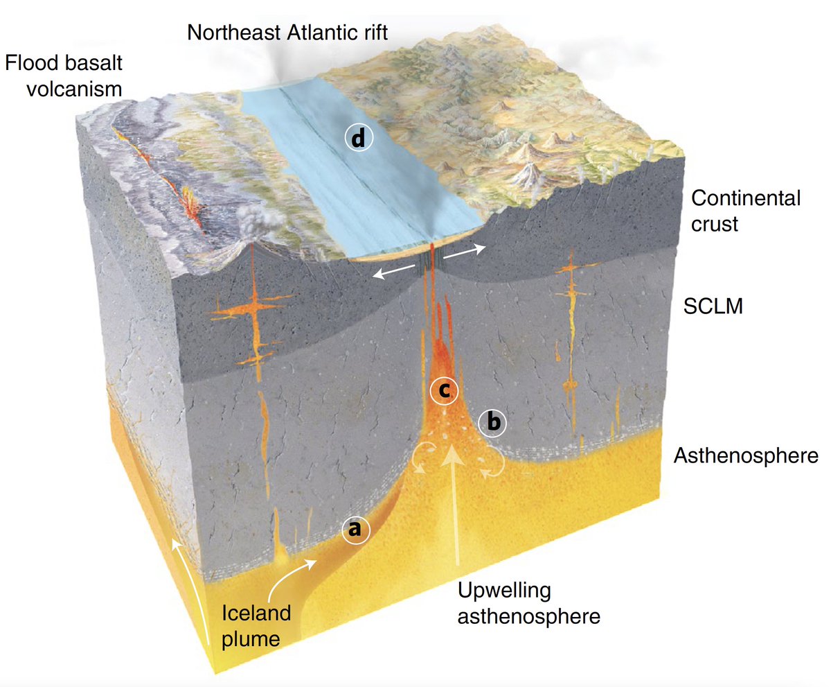 Transient mobilization of subcrustal carbon coincident with Palaeocene-Eocene Thermal Maximum out in <a href="/NatureGeosci/">Nature Geoscience</a>! 🌋🌍
nature.com/articles/s4156…
Thanks <a href="/turinginst/">The Alan Turing Institute</a> <a href="/NERCscience/">Natural Environment Research Council</a> <a href="/GeolSoc/">The Geological Society</a> for funding!  <a href="/GeoFizz_DK/">Derek Keir</a> @AndrewMerdith <a href="/RossMitchellGeo/">Ross Mitchell</a> <a href="/OceanEarthUoS/">OceanEarthUniSoton</a> 
Artwork: Gary Hincks