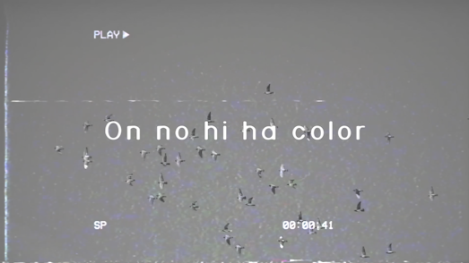 TotSeguit's tweet photo. Ep! Encara us recordeu de nosaltres?

"On no hi ha color", l'episodi especial que tant hem mencionat, s'emetrà finalment demà divendres a les 20h per Twitch i YT 

Aquest projecte ha estat una experiència increïble per nosaltres per molts motius... Tenim moltes ganes que el veieu https://t.co/HJzU0nLj2U
