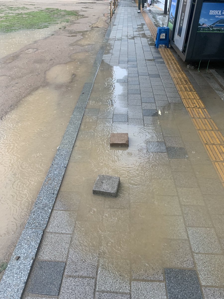 다정한 마음을 밟고 건넜다.