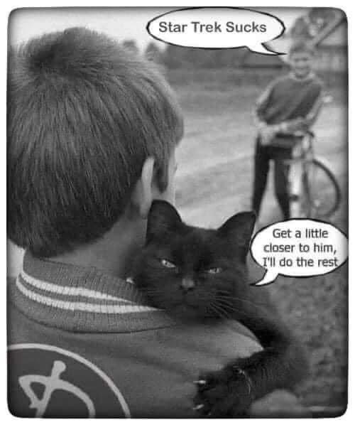 Star Trek Starships tweet media