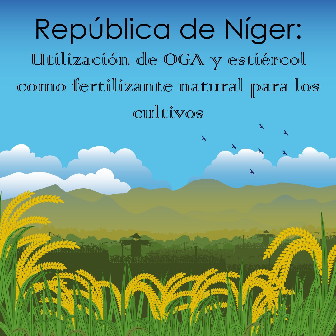 Don Bosco Green Alliance - ES tweet media