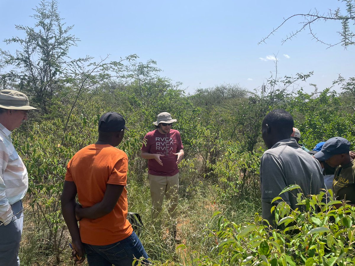 RhodesUniCBC's tweet photo. Guy gave a practical demonstration to the team about how to sample #grass insect communities, as part of a new project we are collaborating on with the University of Texas to develop #biolcontrol for Guineagrass in Texas https://t.co/xxO9a1vQPM
