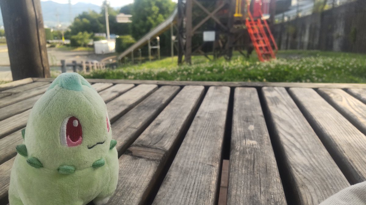 ねむごん tweet media