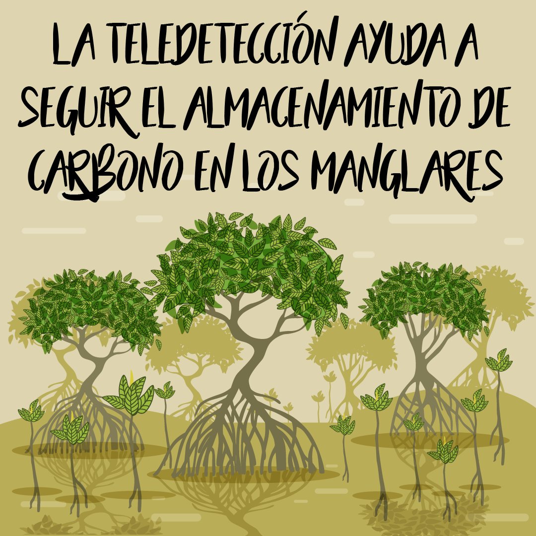 Don Bosco Green Alliance - ES tweet media