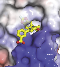 EMDB_EMPIAR's tweet photo. Released on #CysticFibrosisDay this https://t.co/WLENWMzz3o entry sheds further light into the molcular mechanism of CFTR. Read about it in detail at @CellCellPress (https://t.co/sOSX7b0c9b) by the @ChenLabRU @RockefellerUniv. #EMPIAR #CryoEM #OpenScienceAcceleratesResearch https://t.co/I4UPjnqKRX