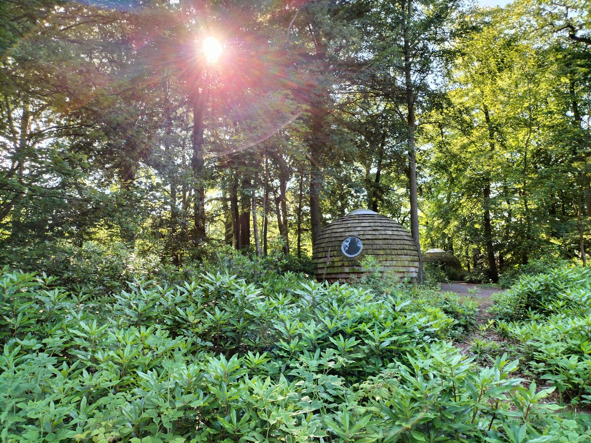 It's shaping up to be another lovely day on campus ☀️😎