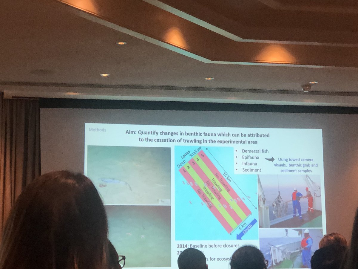 Southern African Marine Science Symposium tweet media