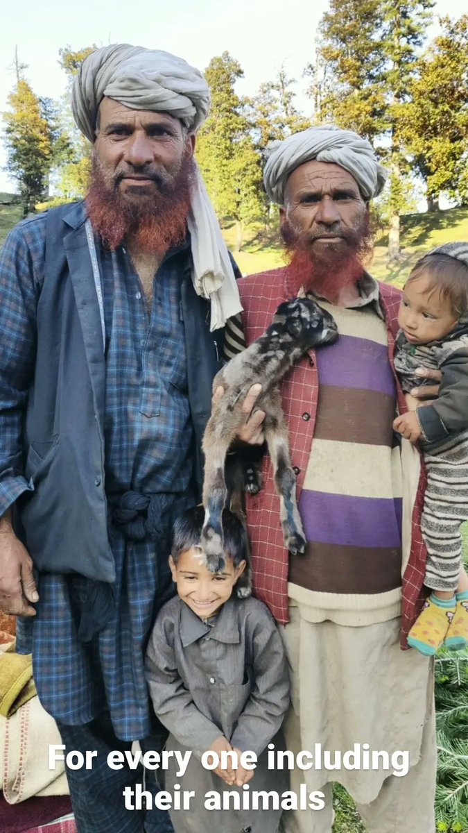shepherdsofhim's tweet photo. In the land of #gujjars : Even with the scarce resources for themselves,  #nomadic #tribes are generous to share it. All are part of an extended family, taking care of each other, for each other in the alpine meadows.
IC @petervangeit
#pastoralism #Gujjars #Himalaya #migration https://t.co/ejTNr5lVcM