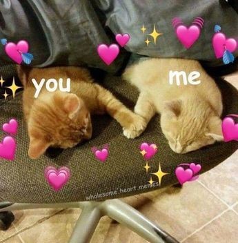 exo___12_9's tweet photo. @Hanhoo9 @stayl14858 @weareoneEXO @Stray_Kids مرسیییییییی https://t.co/vMjdk48Vp7