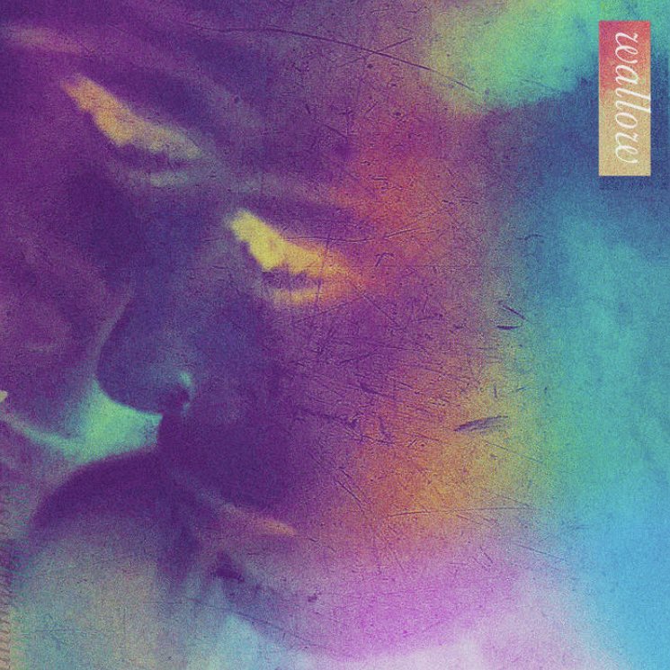 EverythingIndieOver40 tweet media