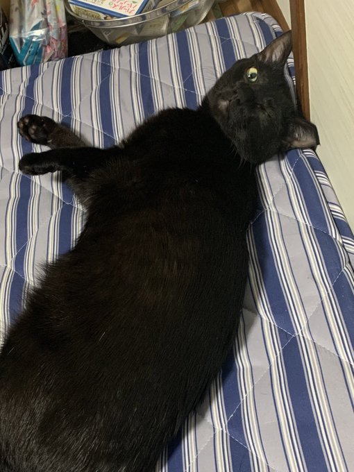 ウインクなんてどこで覚えた? 