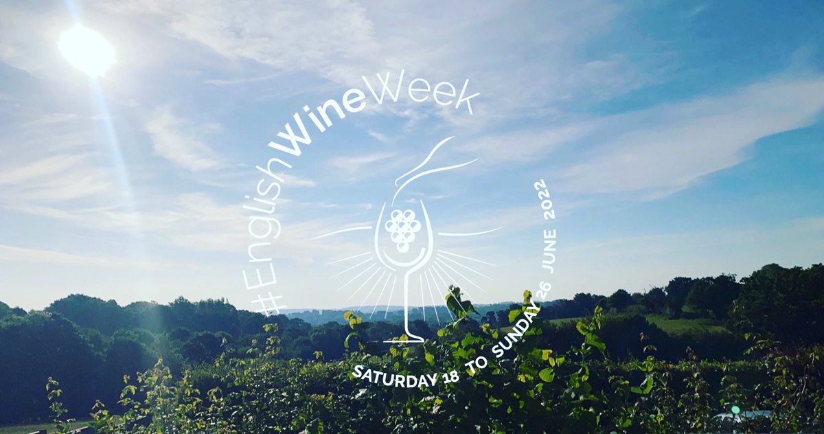 Fun fact time 😁 did you know that for many centuries Britain prioritised other forms of agriculture over winemaking, but since the 1950s the industry has undergone something of a renaissance, with the UK now home to almost 600 vineyards! #englishwineweek