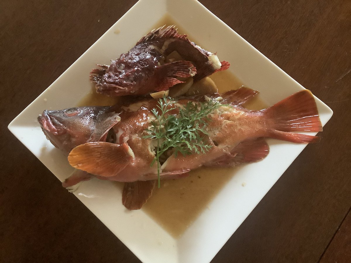 satoyamabanzai's tweet photo. 今朝釣ったアカハタの🐟煮付け出来ましたょ😊

美味しいに決まってる👍

＃DS🇺🇸

＃mastermaind🇺🇸 https://t.co/UGMETEMR8K