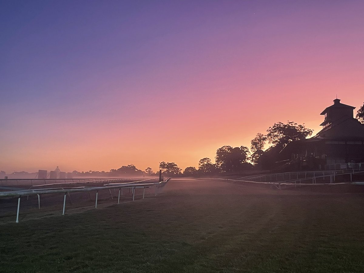 RacingShailer's tweet photo. Sunrises @port_races .. 🙌
#shailerracing #racewithus #thoroughbredracing #thoroughbred #races #portmacquarie #thoroughbreds #horseracing #winner #racing #sunrise #horse #racehorses #race #racecourse #racetrack #winners #trainer #greatenvironment #horselover #nofilterneeded https://t.co/UO5SXaLXsd