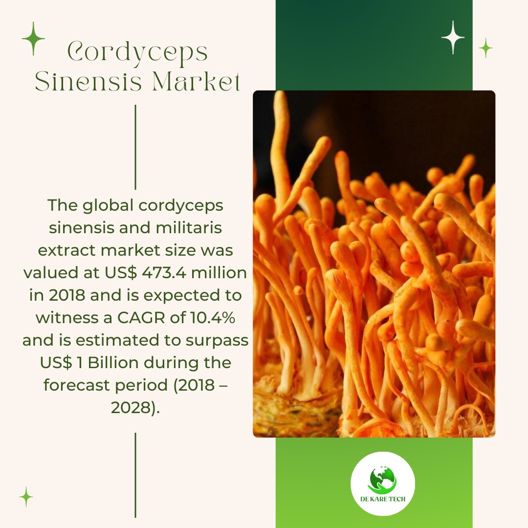 Dekaretech's tweet photo. Cordyceps is a fungus... https://t.co/VG9Q8YUBrj
@HerbalMedicin11 @HRIHerbal
#dkt #dekaretech #cordyceps #cordycepssinensis #cordycepshealthbenefits #marketanalysis #market #cordyceps #cordyline #traditionalmedicine #cambodia https://t.co/tuxh3nKEHJ