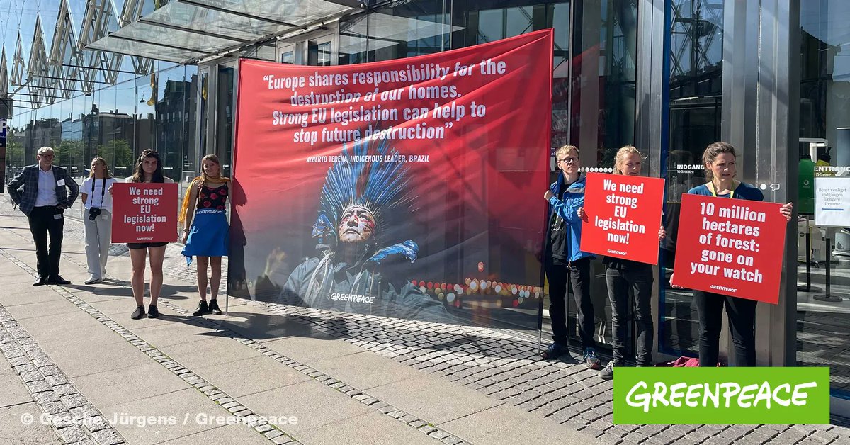 greenpeace_de's tweet photo. Greenpeace Aktive protestieren für ein starkes EU-Gesetz für weltweiten Waldschutz in Kopenhagen! Dort treffen sich heute Vertreter:innen zahlreicher Länder um über Waldzerstörung für globale #Lieferketten zu diskutieren. Statt Worte braucht es endlich Taten! #TogetherForForests https://t.co/6zqSRqyu0u